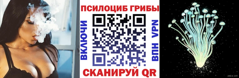 где можно купить наркотик  Яблоновский  Галлюциногенные грибы Psilocybine cubensis 